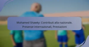 Mohamed Shawky: Contributi alla nazionale, Presenze internazionali, Prestazioni